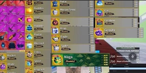 PERM ACCOUNT 30 MANY WITH NEW AND GOOD PERMS CAN BE SEEN IN DESCRIPTION AND 2 PICTURES BELOW + HAS DIVINE AND WEREWOLF SKINS