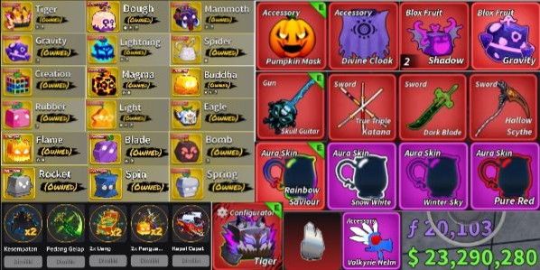 Blox Fruits Account As Shown in Photo