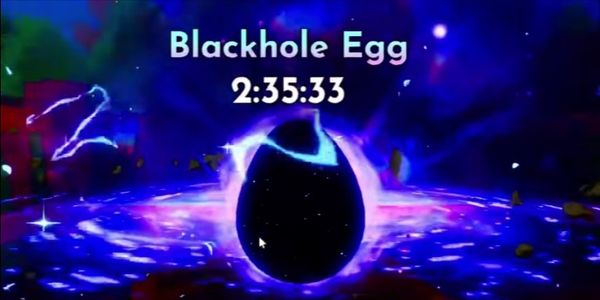 Joki Black Hole Egg | Ride A Pet
