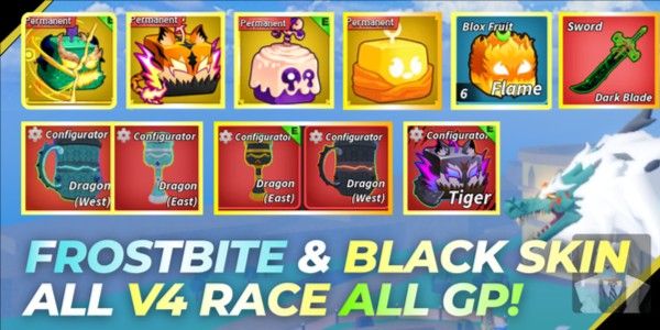 Cuenta PERM Dragon Frostbite y Black Skin Todo V4 Listo Todo GP ACTIVADO! +6 Almacenamiento