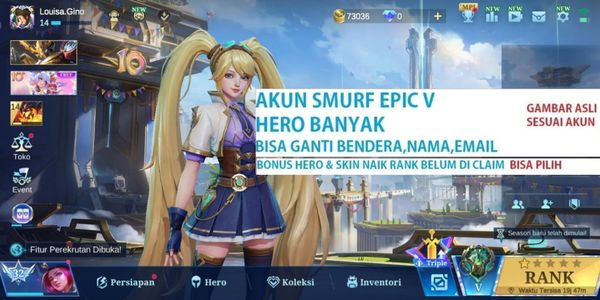 EPIC BP SMURF ACCOUNT & MANY HEROES ++