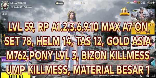 MANY SET PUBG MOBILE ACCOUNTS