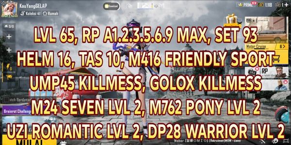 M416 PUBG MOBILE ACCOUNT SKIN