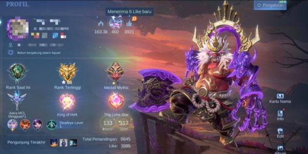 amz94 selling a cool account, good win rate, luxury skins, awesome effects, lots of emotes, abundant items, cheap price sis