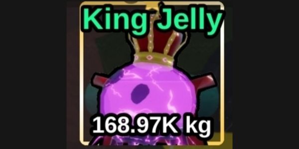 JELLY KING / KING JELLY