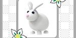 Rabbit - Adopt Me