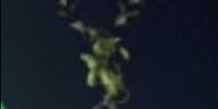 Great Mullein 15x | ARC Raiders