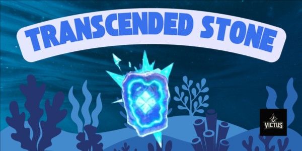 Transcended Stone