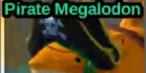 Pirate Megalodon