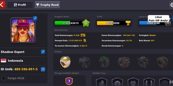 2B Coin Account (Ready to Use)