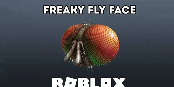 Roblox Freaky Fly Face