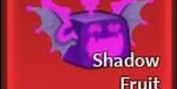 Shadow