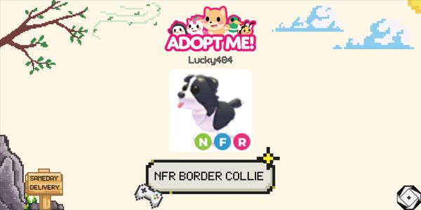 Border Collie