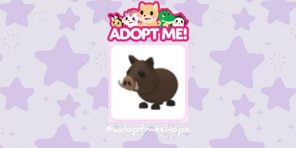 Wild Boar