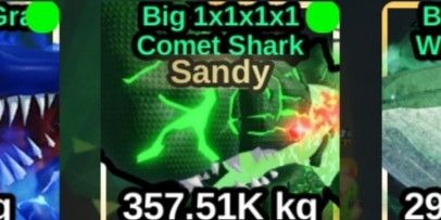 sandy big 1x1x1x1 comet shark