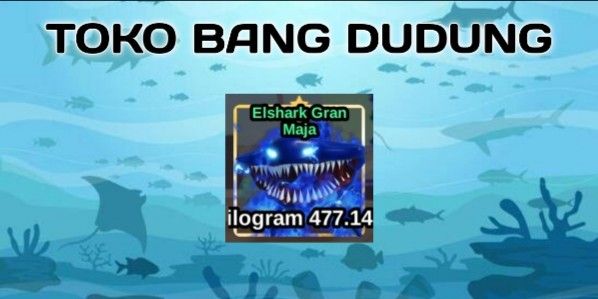 Elshark Gran Maja