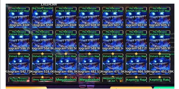 Elshark Gran Maja