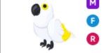 White Amazon MFR