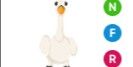 Swan NFR