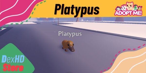 Pension! Platypus | Adopt Me!