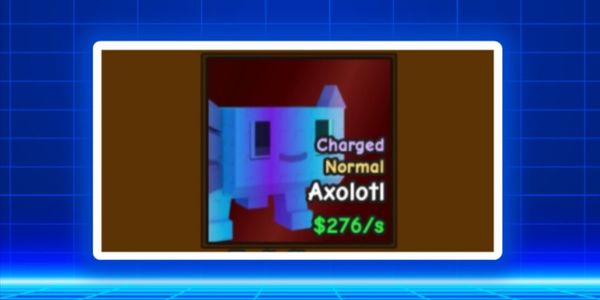 Axolotl