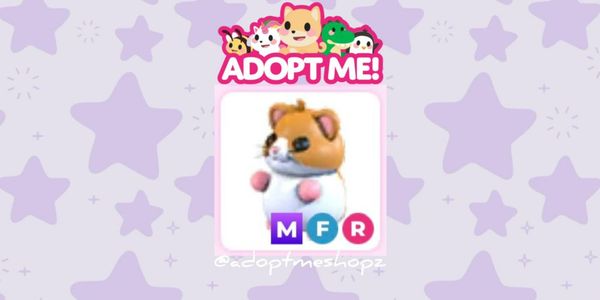 MFR Hamster