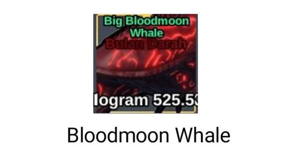 Bloodmoon Bloodmoon Whale