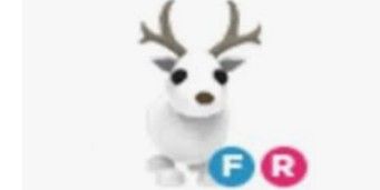 Arctic Reindeer