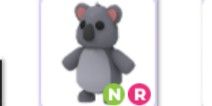 NR Koala (More special than FR)