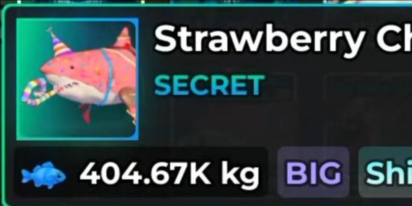Big Strawberry Choc Megalodon