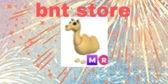 mega ride camel