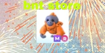 mega ride orang utan