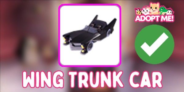 Wing Trunk car | Fast Delivery