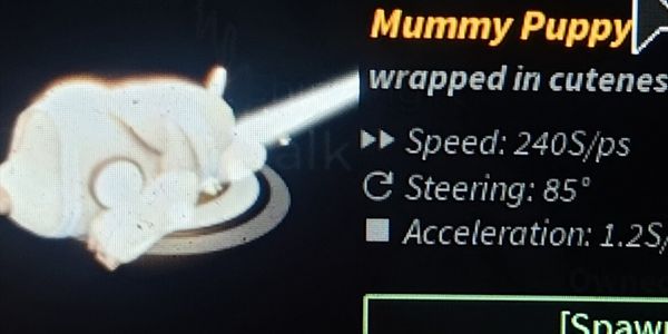 Mummy Pupy - Boat