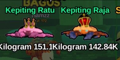 King Crab
