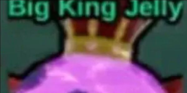 Big Jelly King