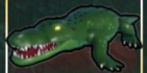 Crocodile