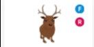 Reindeer FR > pet Adopt me