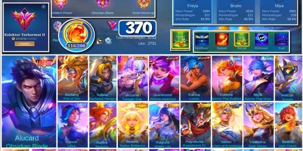 #3509 | 370 Skins | Legend Franco | Collector Badang Natalia | Aspirant Vexana | Prime Beatrix | M-World Wanwan | KoF Guinevere Karina