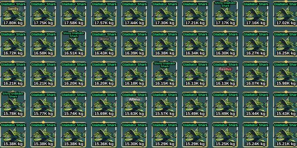 Gladiator Shark