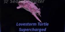 Lovestorm Turtle Supercharged