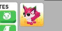 Dragonfruit fox - Adopt me