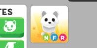 Nfr arctic fox - Adopt me