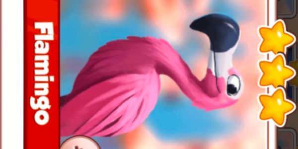 Flamingo Card