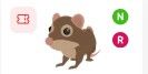 Shrew NR > pet Adopt me