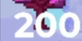 200 Magenta Sapling