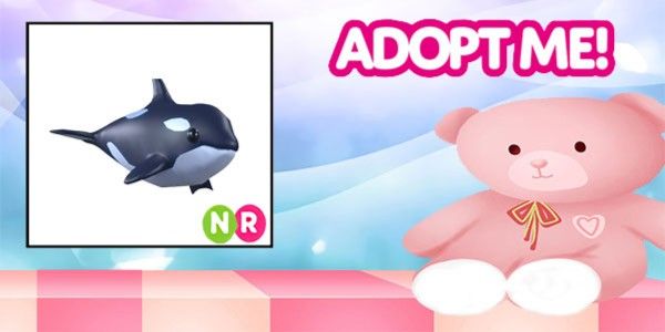 Orca NR Adopt Me Pet