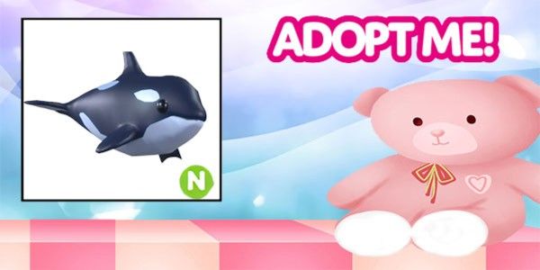 Orca Neon Adopt Me Pet