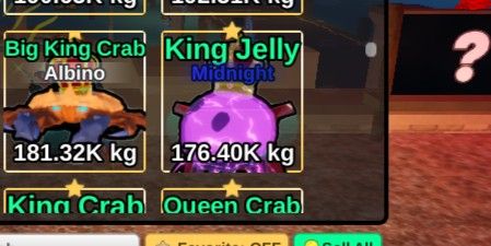 Midnight Jelly King