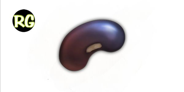 Black Bean / Black Bean